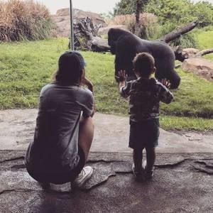 Meet your Posher, Crystal